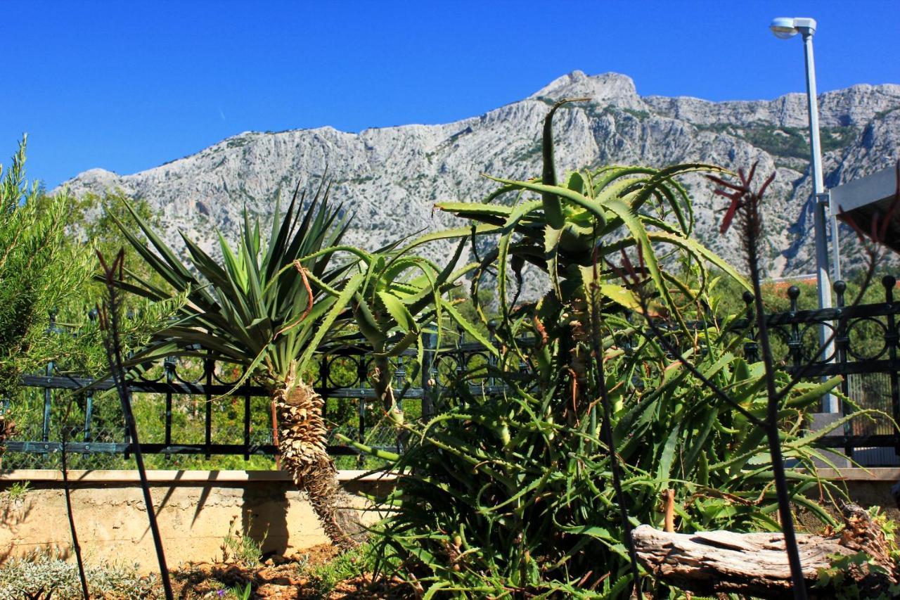 Apartments With A Parking Space Orebic, Peljesac - 10157 Luaran gambar